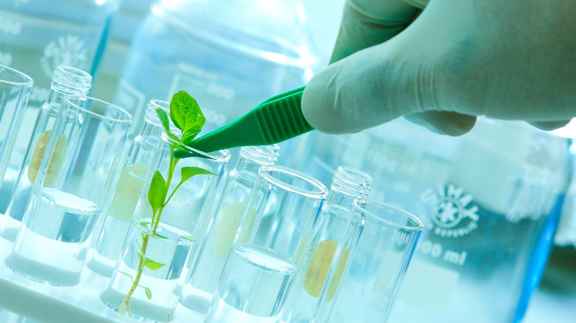 The New Biotechnology for the Agro-Food and Forestry sectors – Técnico  Lisboa