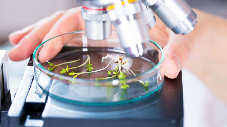 Dias da PI@Técnico – Quais são as limitações das invenções biotecnológicas?