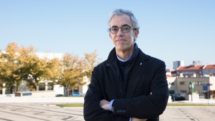 Técnico professor is among the most cited researchers in the world for the fourth consecutive time