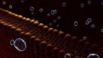 Representação virtual da membrana de plasma de uma célula