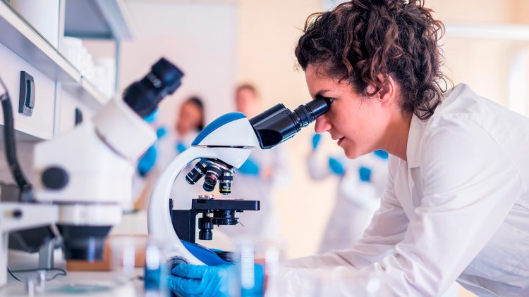 Medal of Honour L’Oréal Portugal for Women in Science 2019 – Applications open
