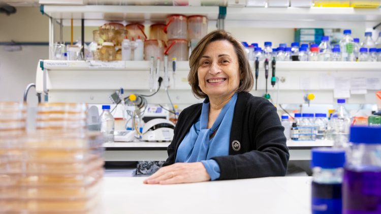 Professora Isabel Sá Correia distinguida pela Federation of European Microbiological Societies