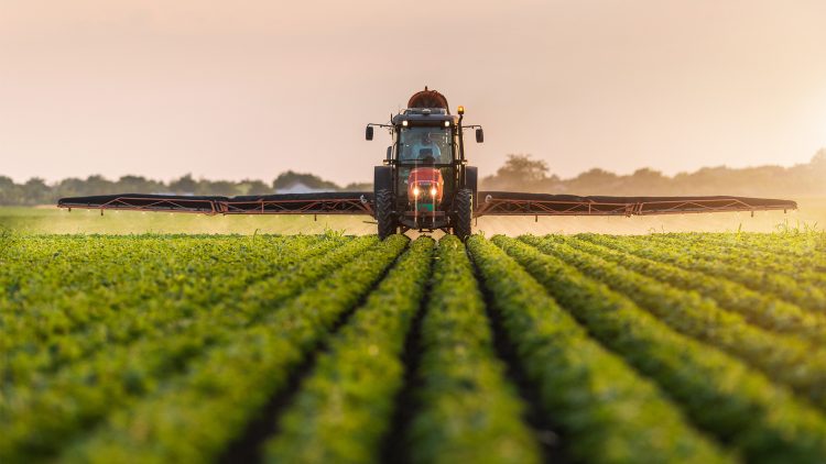 Obter informações do solo nas explorações agrícolas através de uma foto já é possível com a APP VirtuaCrop