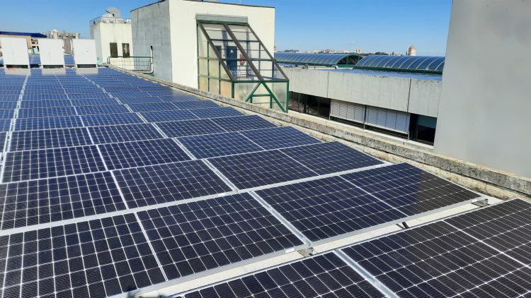Técnico’s first photovoltaic power plant is already operating