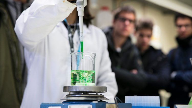 Técnico celebra Dia Nacional da Cultura Científica reunindo projetos de divulgação de ciência