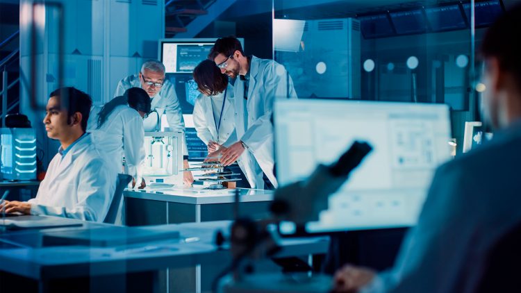 Five Técnico researchers selected for Young Scientists Seminar