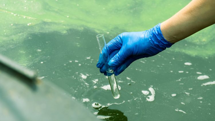 4.ª edição do curso de Amostragem Ambiental com inscrições abertas até 10 de junho