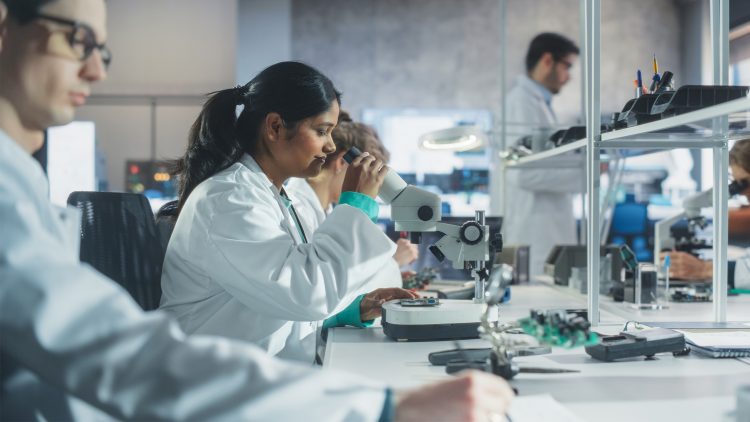 Do ensino básico ao doutoramento: Estágios científicos no Técnico para estudantes de todos os ciclos