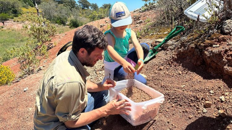 Técnico researcher discovers fossils over 200 million years old in citizen science activity