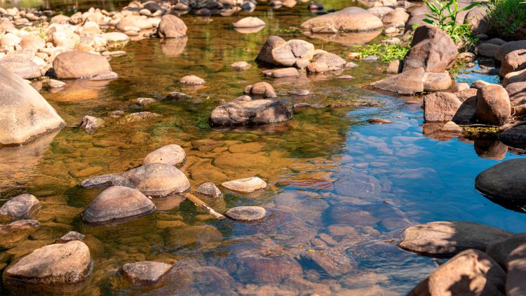 Cientistas de recursos minerais do Técnico propõem ferramenta para monitorização e gestão de aquíferos do Algarve