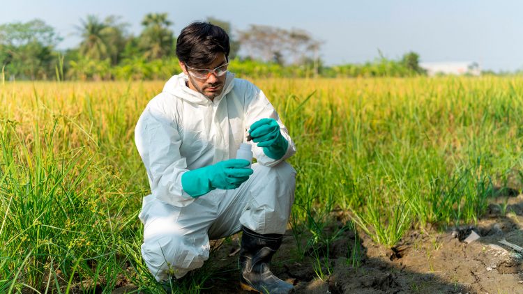 C2TN Workshop: The paramount importance of chemical speciation studies in biology and environmental sciences