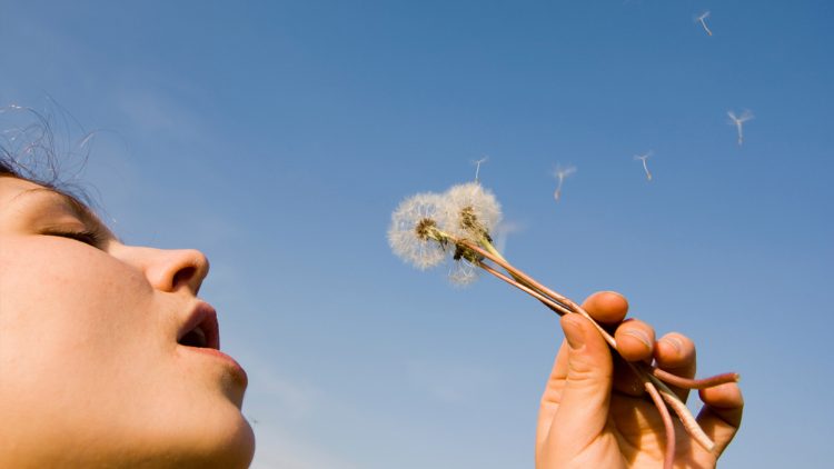 Two new MOOCs on open educational resources are open for registration until 30 December