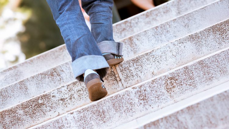 Novos estudantes 2025/2026: Primeiros passos, matrículas e boas-vindas