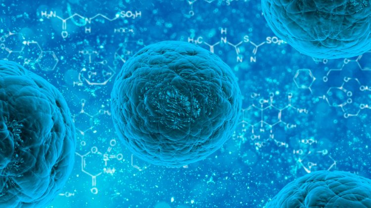 C2TN Academy Seminar – “What if Wastewater Were the New Sentinels of Public Health?”
