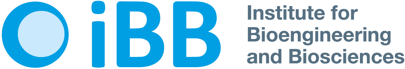 Logo iBB
